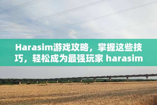 Harasim游戏攻略，掌握这些技巧，轻松成为最强玩家 harasim游戏攻略