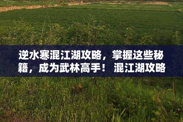 逆水寒混江湖攻略，掌握这些秘籍，成为武林高手！ 混江湖攻略逆水寒