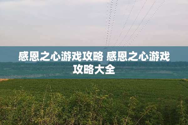 感恩之心游戏攻略 感恩之心游戏攻略大全