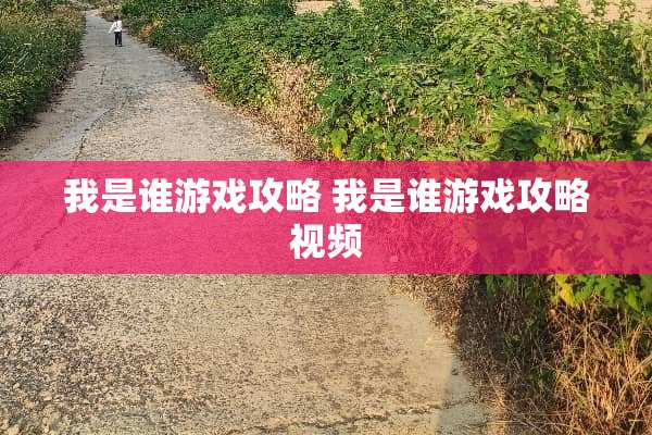 我是谁游戏攻略 我是谁游戏攻略视频