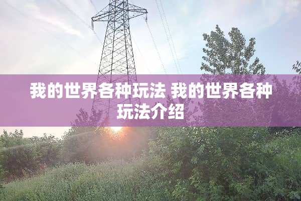 我的世界各种玩法 我的世界各种玩法介绍