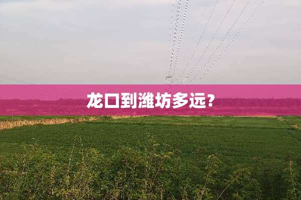 龙口到潍坊多远？