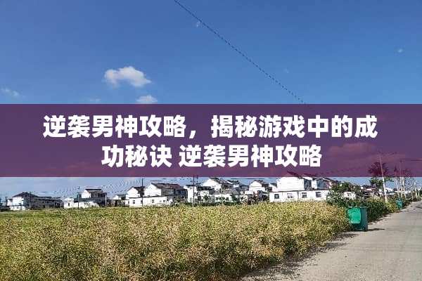 逆袭男神攻略，揭秘游戏中的成功秘诀 逆袭男神攻略