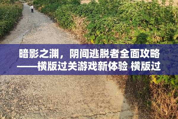 暗影之渊，*间逃脱者全面攻略——横版过关游戏新体验 横版过关*间游戏攻略