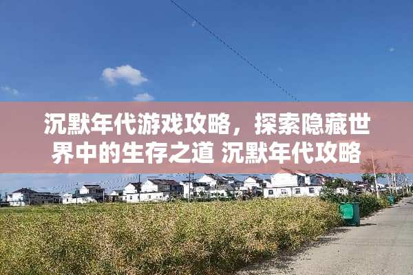 沉默年代游戏攻略，探索隐藏世界中的生存之道 沉默年代攻略