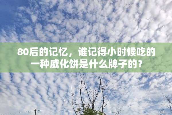 80后的记忆，谁记得小时候吃的一种威化饼是什么牌子的？