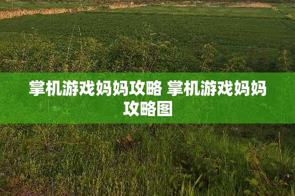 掌机游戏妈妈攻略 掌机游戏妈妈攻略图