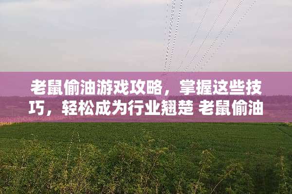 老鼠偷油游戏攻略，掌握这些技巧，轻松成为行业翘楚 老鼠偷油游戏玩法