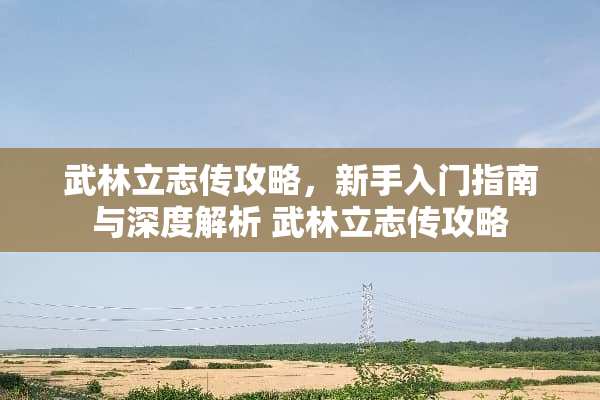武林立志传攻略，新手入门指南与深度解析 武林立志传攻略
