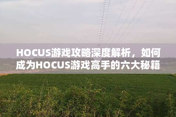 HOCUS游戏攻略深度解析，如何成为HOCUS游戏高手的六大秘籍！ hocus游戏攻略61
