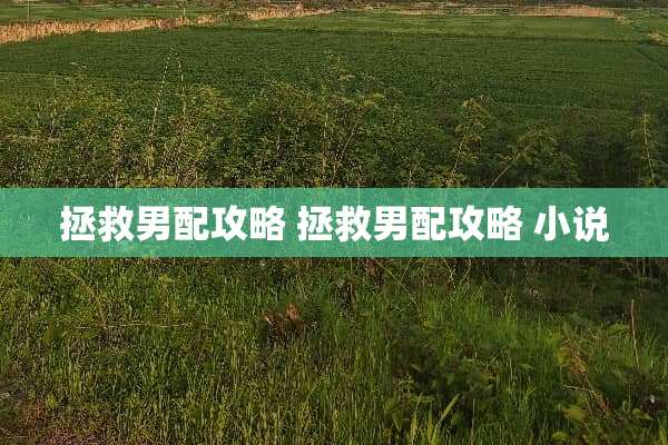 拯救男配攻略 拯救男配攻略 小说