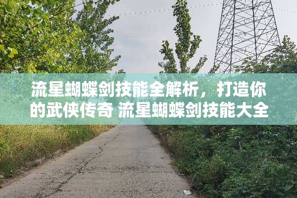 流星蝴蝶剑技能全解析，打造你的武侠传奇 流星蝴蝶剑技能大全