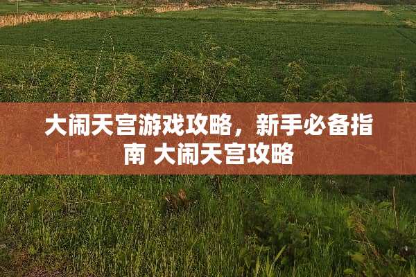大闹天宫游戏攻略，新手必备指南 大闹天宫攻略