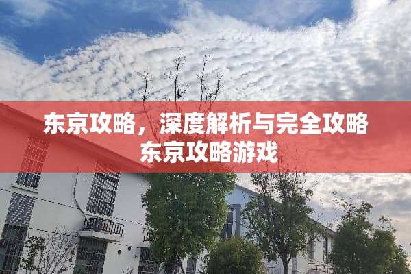 东京攻略，深度解析与完全攻略 东京攻略游戏