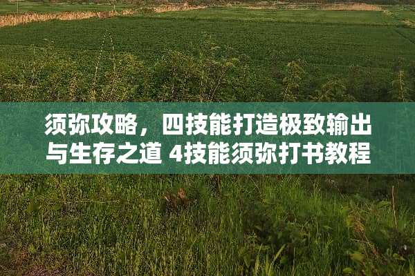 须弥攻略，四技能打造极致输出与生存之道 4技能须弥打书教程