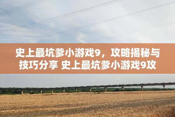 史上最坑爹小游戏9，攻略揭秘与技巧分享 史上最坑爹小游戏9攻略