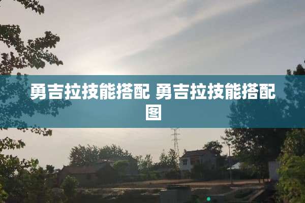 勇吉拉技能搭配 勇吉拉技能搭配图