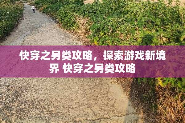 快穿之另类攻略，探索游戏新境界 快穿之另类攻略