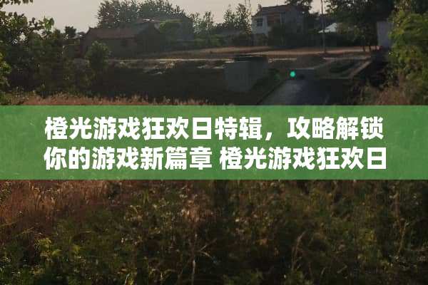 橙光游戏狂欢日特辑，攻略解锁你的游戏新篇章 橙光游戏狂欢日攻略