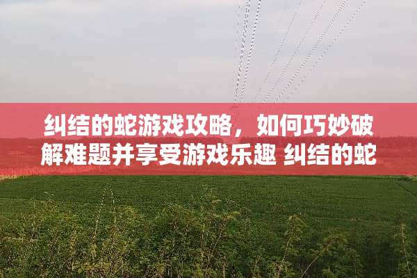 纠结的蛇游戏攻略，如何巧妙**难题并享受游戏乐趣 纠结的蛇攻略