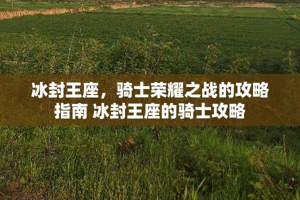 冰封王座，骑士荣耀之战的攻略指南 冰封王座的骑士攻略