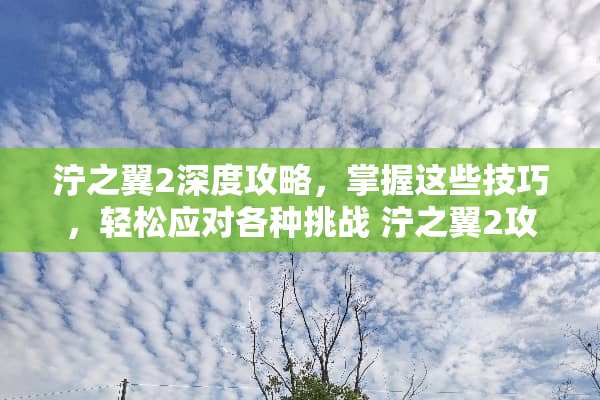 泞之翼2深度攻略，掌握这些技巧，轻松应对各种挑战 泞之翼2攻略