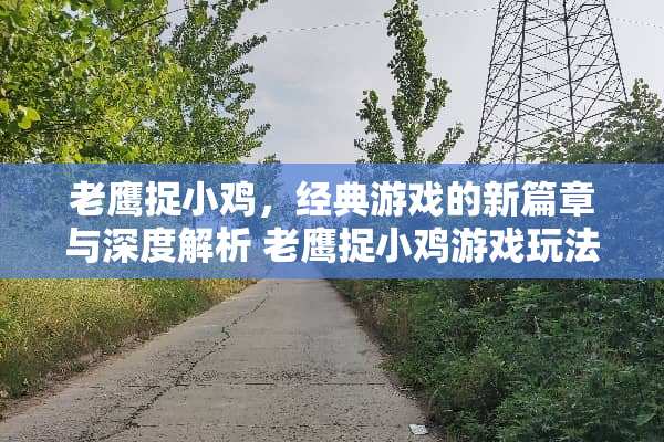 老鹰捉小鸡，经典游戏的新篇章与深度解析 老鹰捉小鸡游戏玩法
