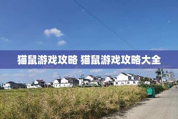 猫鼠游戏攻略 猫鼠游戏攻略大全