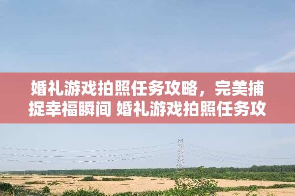 婚礼游戏拍照任务攻略，完美捕捉幸福瞬间 婚礼游戏拍照任务攻略