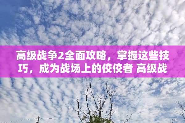 高级战争2全面攻略，掌握这些技巧，成为战场上的佼佼者 高级战争2攻略