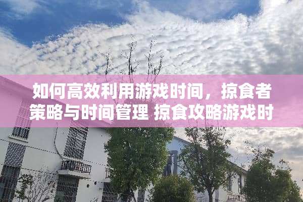 如何高效利用游戏时间，掠食者策略与时间管理 掠食攻略游戏时间