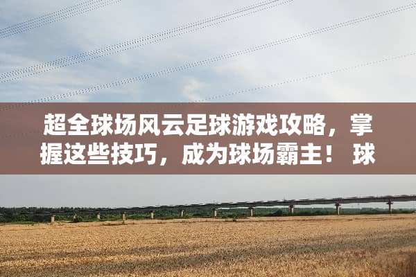 超全球场风云**游戏攻略，掌握这些技巧，成为球场霸主！ 球场风云**游戏攻略