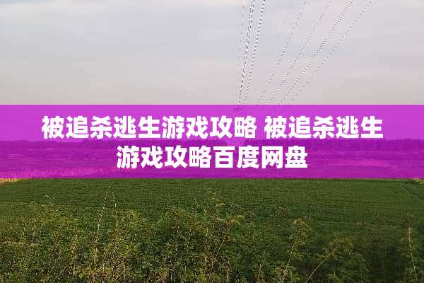 被追杀逃生游戏攻略 被追杀逃生游戏攻略百度网盘