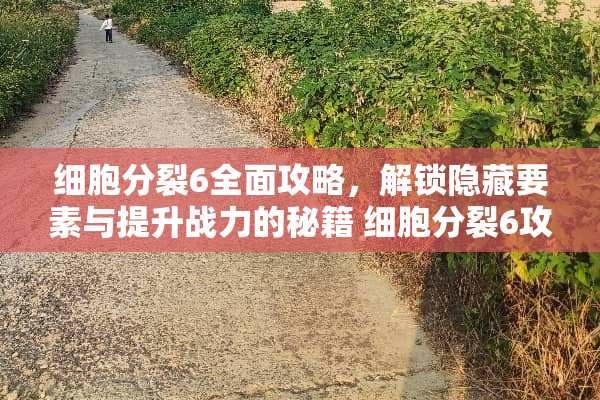 细胞**6全面攻略，解锁隐藏要素与提升战力的秘籍 细胞**6攻略