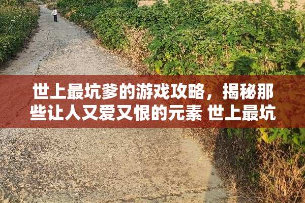 世上最坑爹的游戏攻略，揭秘那些让人又爱又恨的元素 世上最坑爹的游戏攻略2