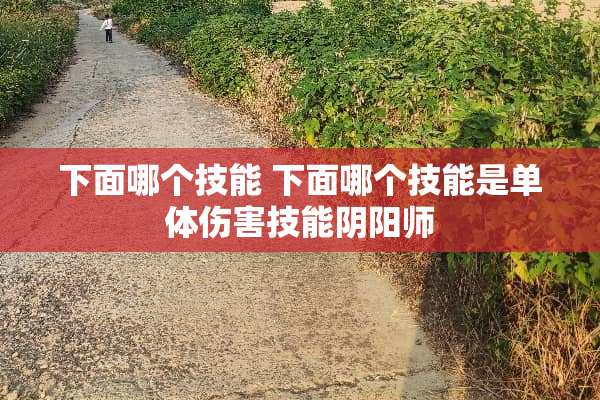 下面哪个技能 下面哪个技能是单体伤害技能*阳师