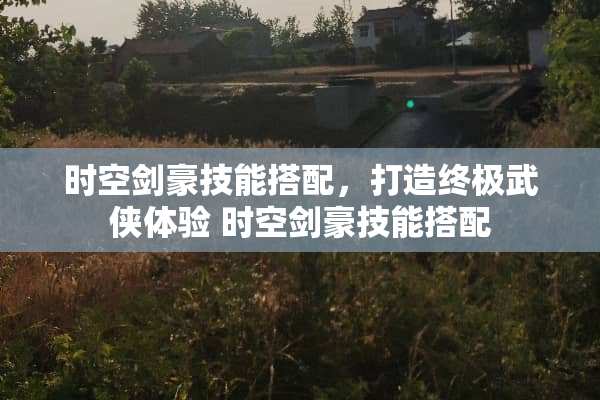 时空剑豪技能搭配，打造终极武侠体验 时空剑豪技能搭配