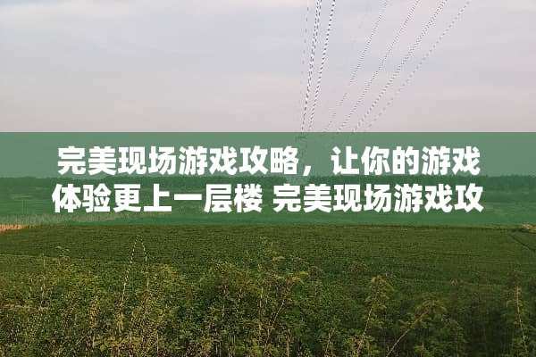 完美现场游戏攻略，让你的游戏体验更上一层楼 完美现场游戏攻略