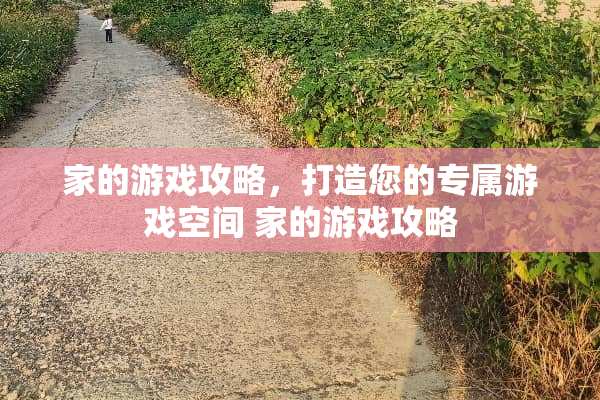 家的游戏攻略，打造您的专属游戏空间 家的游戏攻略