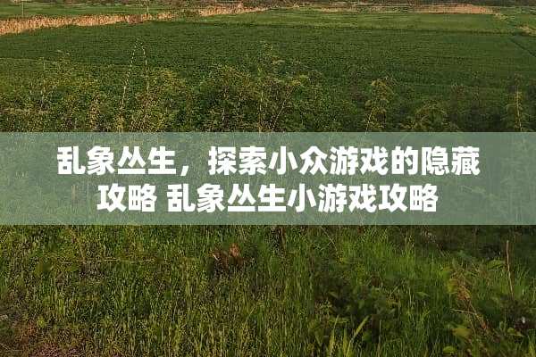 乱象丛生，探索小众游戏的隐藏攻略 乱象丛生小游戏攻略