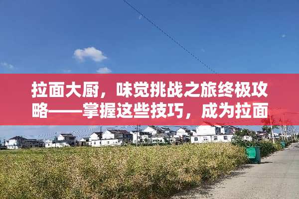 拉面大厨，味觉挑战之旅终极攻略——掌握这些技巧，成为拉面大师！ 拉面大厨游戏攻略