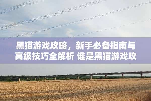 黑猫游戏攻略，新手必备指南与高级技巧全解析 谁是黑猫游戏攻略