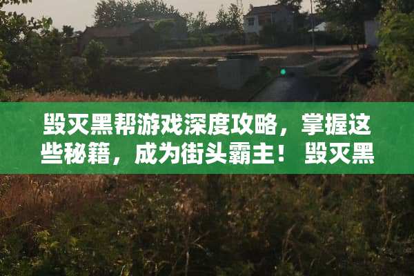 毁灭黑帮游戏深度攻略，掌握这些秘籍，成为街头霸主！ 毁灭黑帮游戏攻略