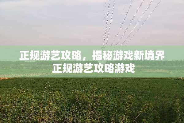正规游艺攻略，揭秘游戏新境界 正规游艺攻略游戏