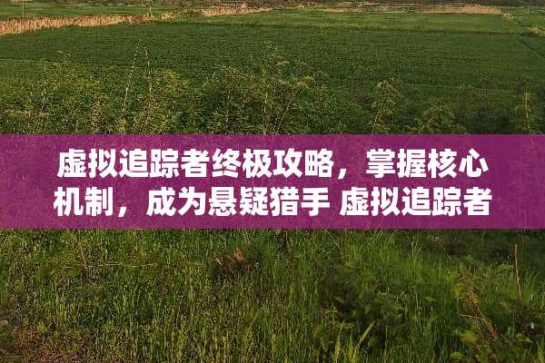 虚拟追踪者终极攻略，掌握核心机制，成为悬疑猎手 虚拟追踪者攻略
