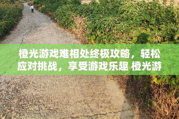 橙光游戏难相处终极攻略，轻松应对挑战，享受游戏乐趣 橙光游戏太难相处攻略
