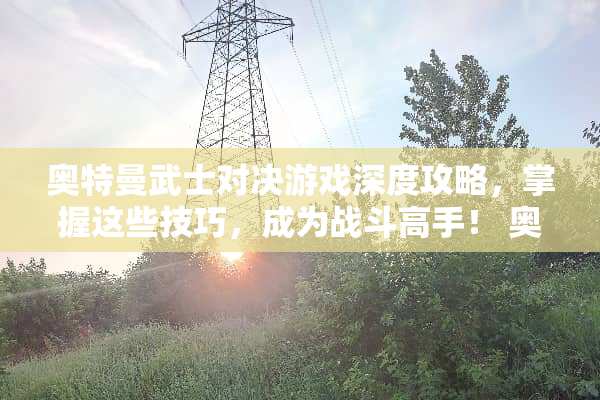 奥特曼武士对决游戏深度攻略，掌握这些技巧，成为战斗高手！ 奥特曼武士对决游戏攻略