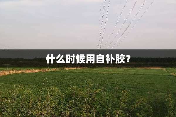 什么时候用自补胶？