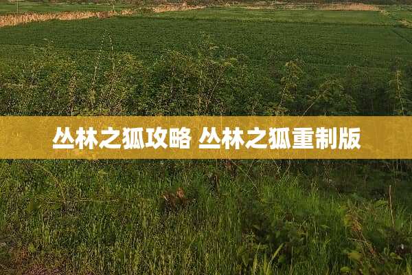丛林之狐攻略 丛林之狐重制版