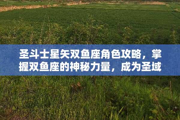 圣斗士星矢双鱼座角色攻略，掌握双鱼座的神秘力量，成为圣域最强战士 圣斗士星矢游戏攻略双鱼